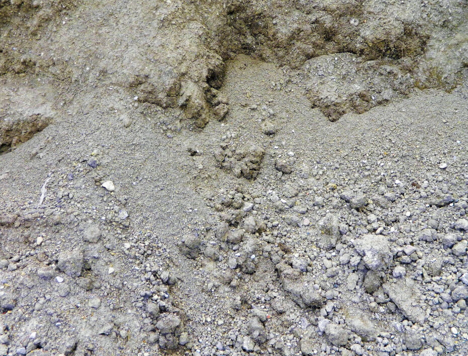 Fill Dirt