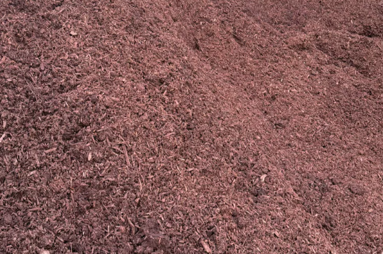 Economy Brown